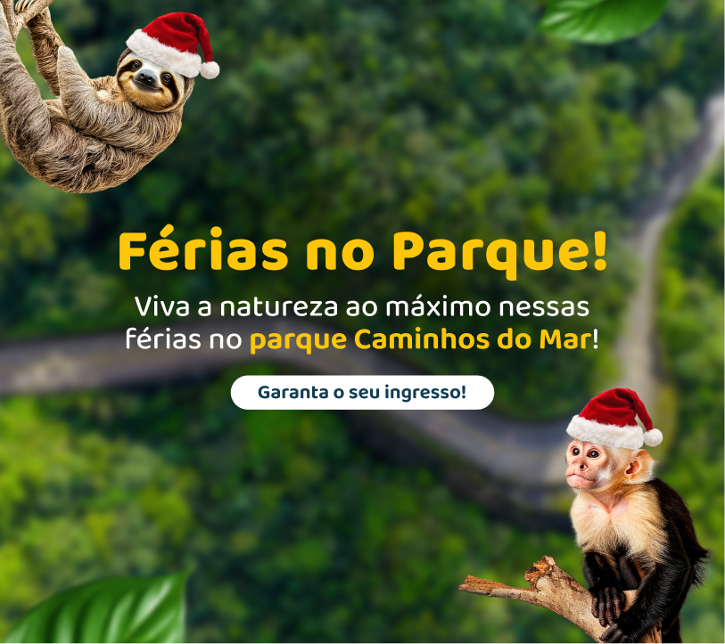 Férias no Parque