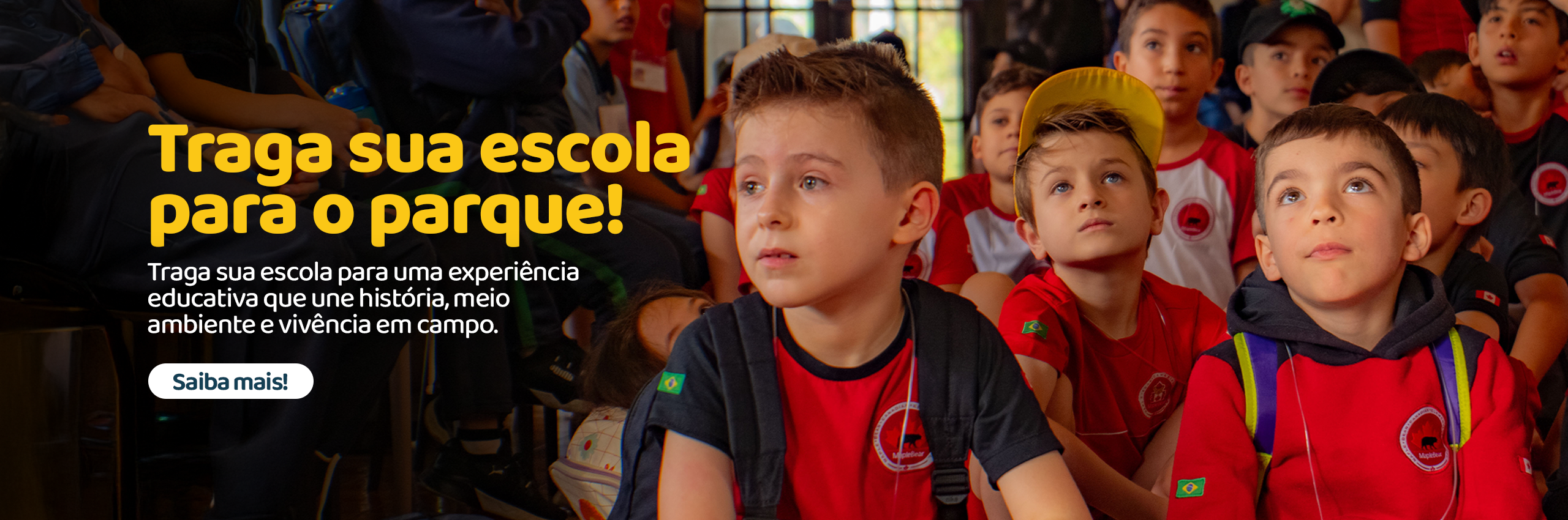 Visitas escolares