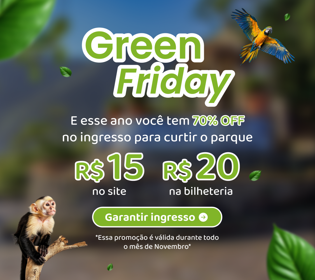 Green Friday