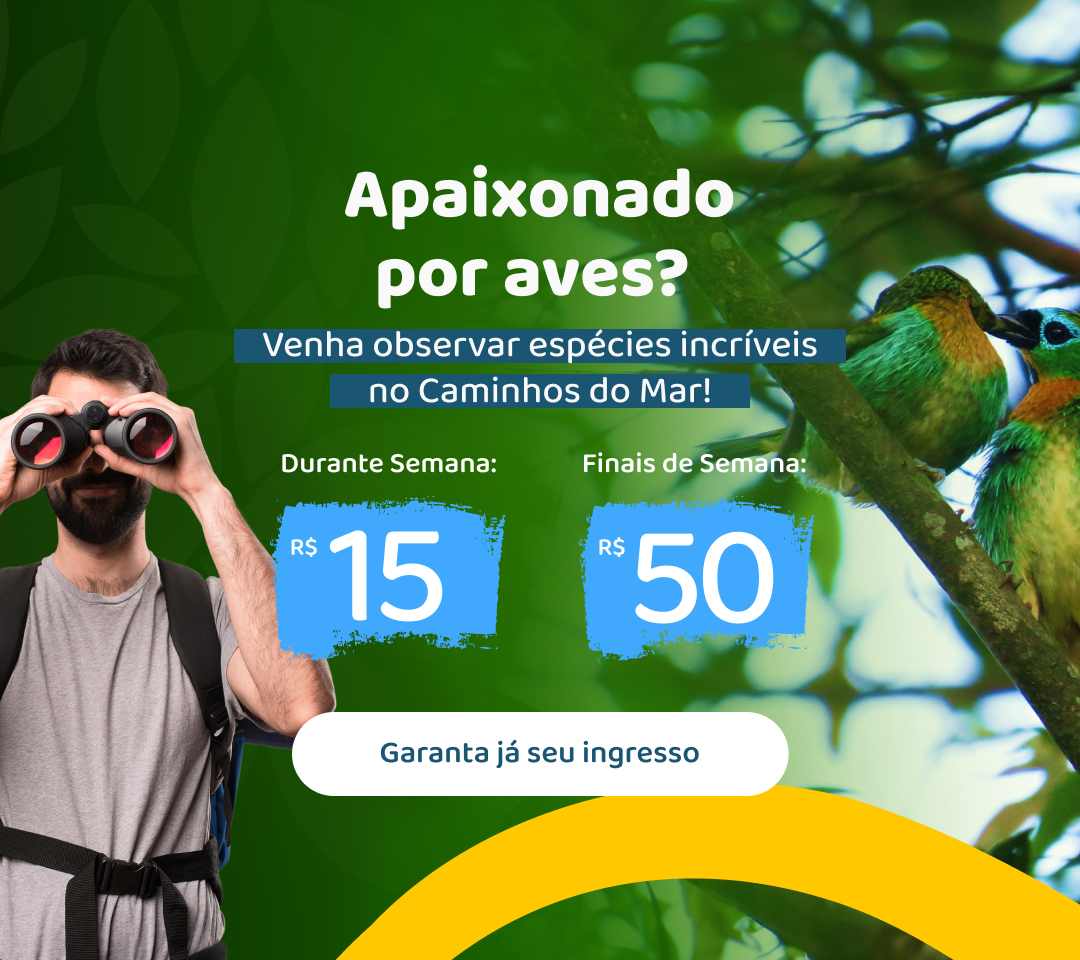 Nova tarifa – Observador de Aves