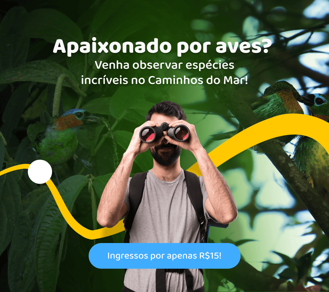 Nova tarifa – Observador de Aves
