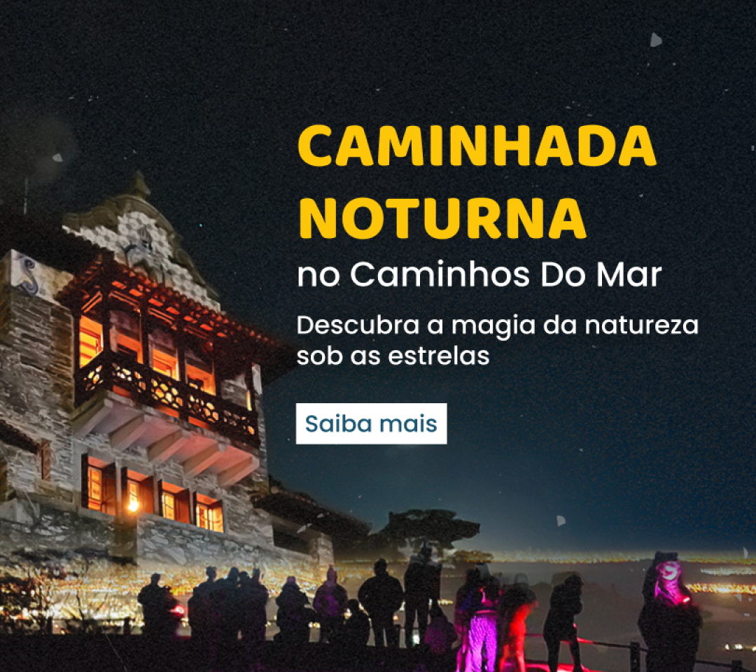 Caminhada Noturna