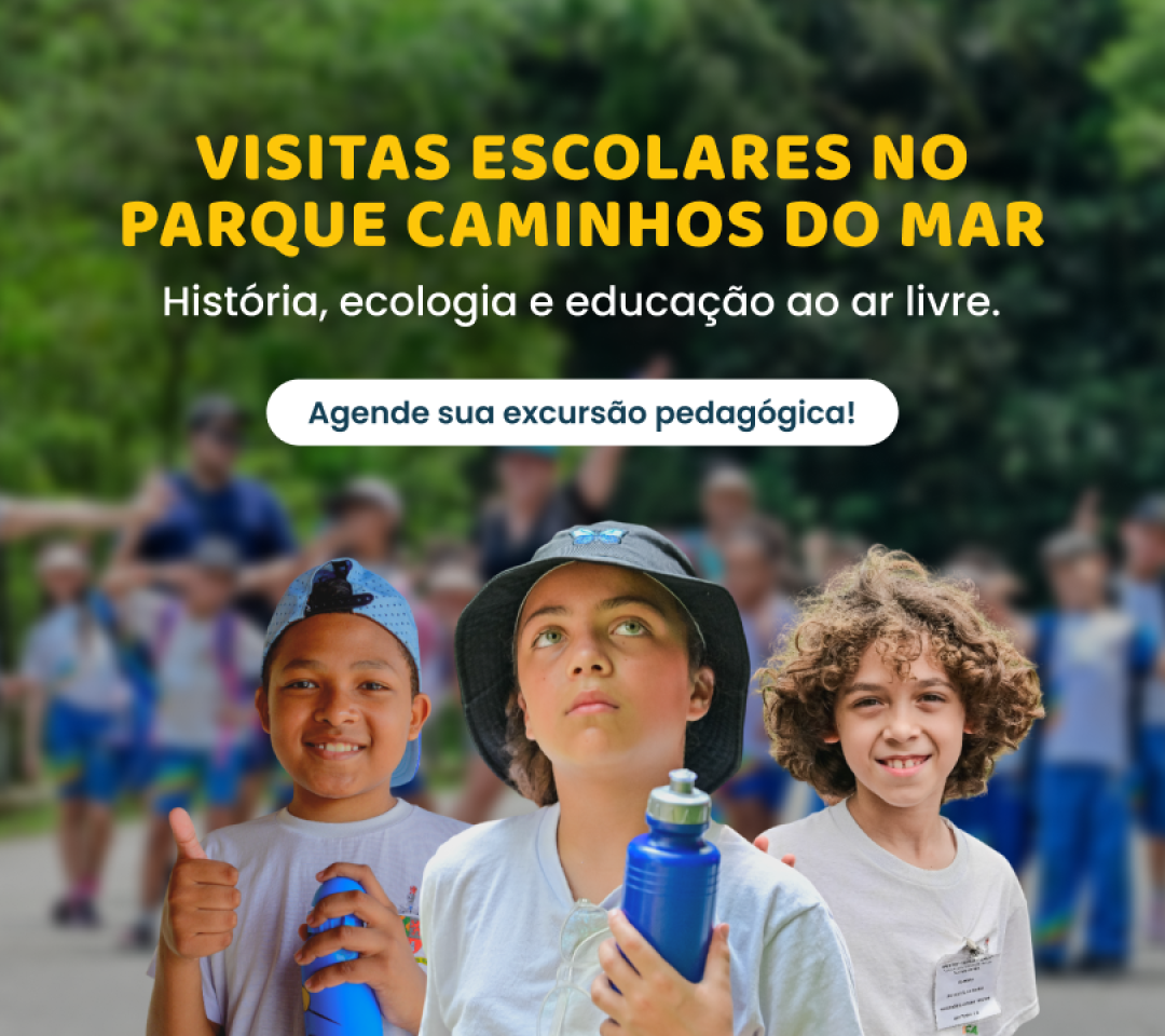 Escolas